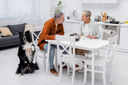 Smiling couple talking near breakfast, coffee and border collie in kitchen