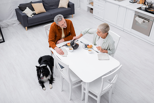 Overhead view of senior woman pouring coffee near husband, breakfast and border collie in kitchen