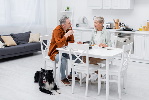 Couple talking during breakfast near border collie dog in kitchen