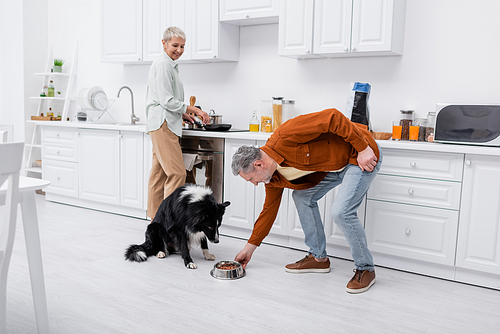 Mature man putting bowl with food near border collie dog and cheerful wife cooking in kitchen