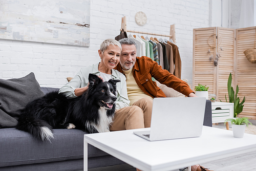 Positive couple looking at blurred laptop near border collie on couch