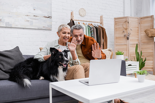 Happy couple having video call on laptop near border collie on couch at home