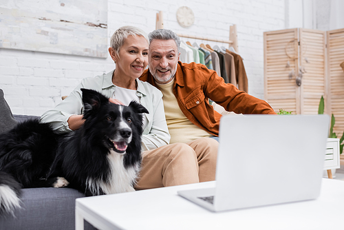 Couple looking at blurred laptop on coffee tale near border collie on couch at home
