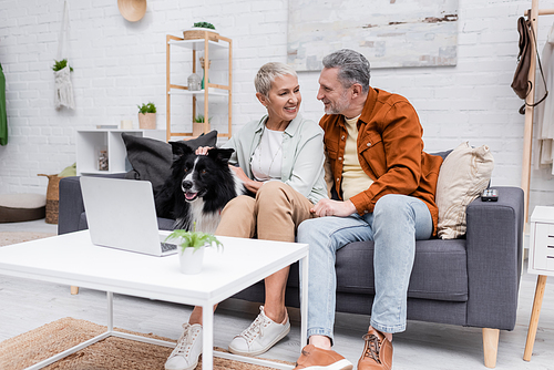 Positive couple talking near border collie and laptop at home