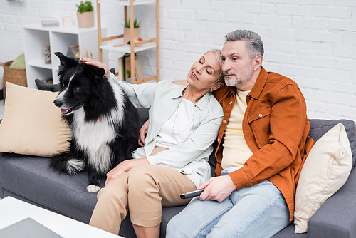 Man watching tv near smiling wife petting border collie on couch