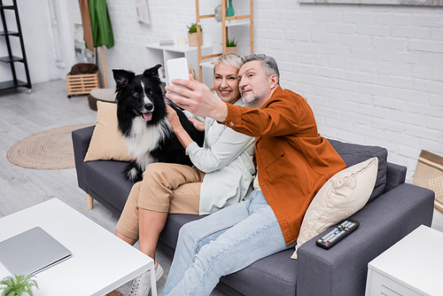 Smiling couple taking selfie on smartphone near border collie on couch