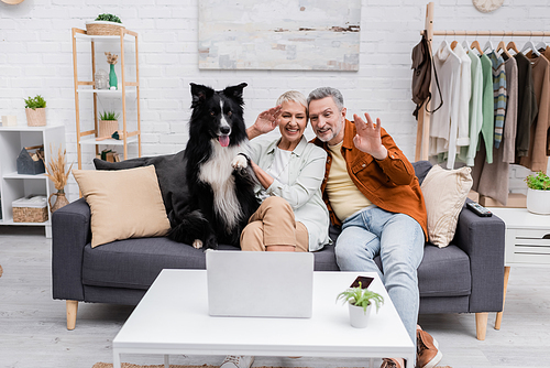 Cheerful couple having video call on laptop near border collie on couch in living room