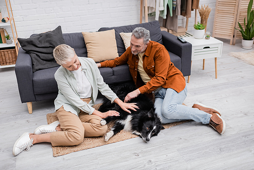 Cheerful couple petting border collie near couch in living room