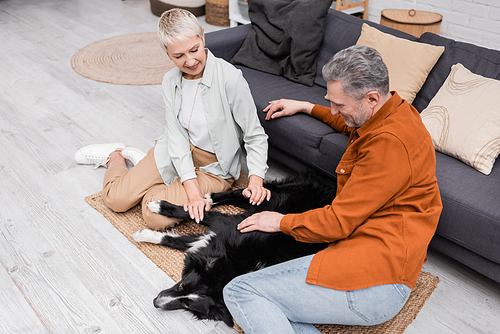 Positive couple petting border collie in living room