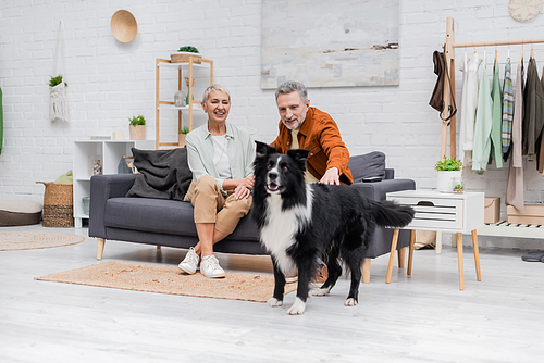 Cheerful woman looking at husband petting border collie in living room