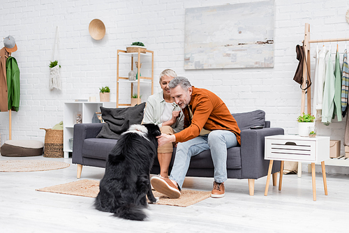 Cheerful middle aged man petting border collie near wife on couch at home