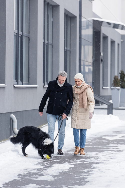 Smiling couple looking at border collie playing with ball on street in winter