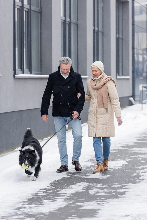 Happy woman in winter outfit walking near husband and border collie with ball on urban street