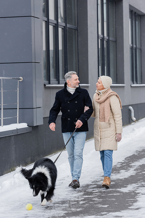 Couple in winter outfit talking while walking on leash border collie on urban street