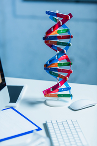 model of dna structure near computer mouse on desk in laboratory
