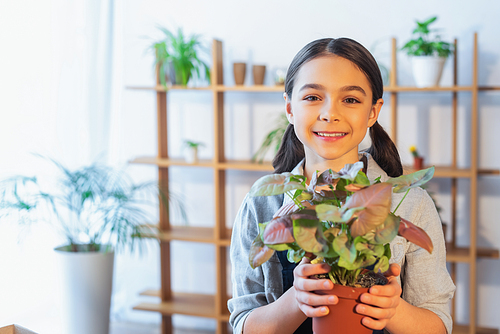 Preteen girl smiling at camera and holding plant at home