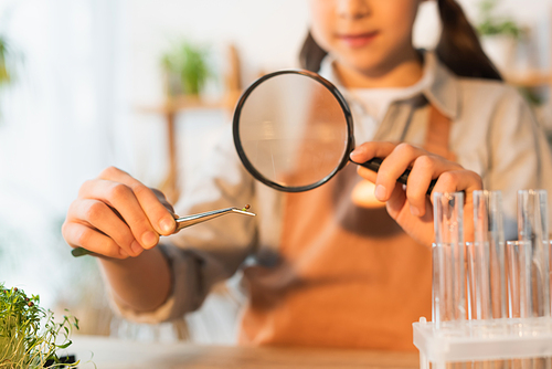 Cropped view of blurred kid holding plant seed in tweezers and magnifying glass at home
