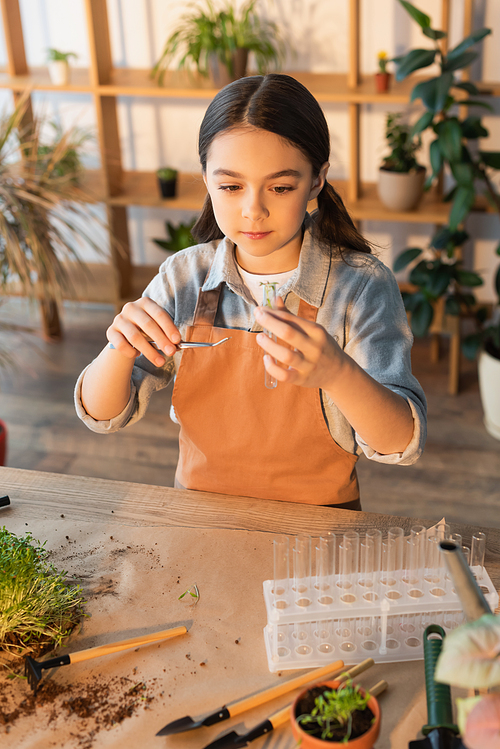 Girl in apron holding tweezers and test tube near plants at home