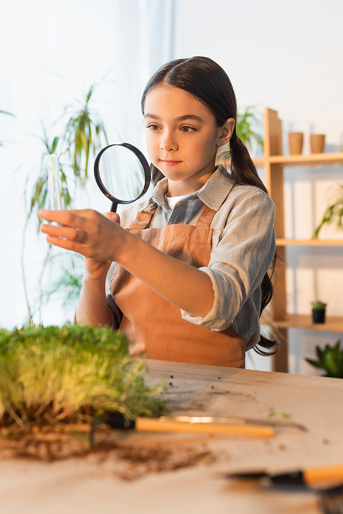 Preteen child holding magnifying glass and test tube near blurred microgreen plant at home