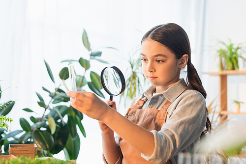 Girl holding magnifying glass and test tube near plants at home