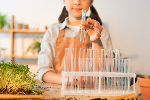 Cropped view of child holding test tube with plant at home