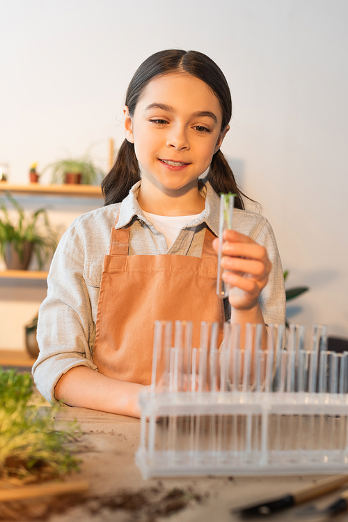 Smiling girl in apron holding blurred test tube near plant at home