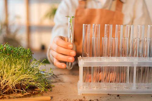 Cropped view of blurred kid holding plant in glass test tube at home
