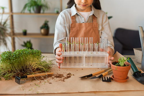 Cropped view of kid holding glass test tubes with plants near gardening tools at home