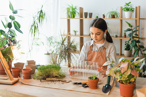 Preteen child in apron holding test tubes near plants and flowerpots at home