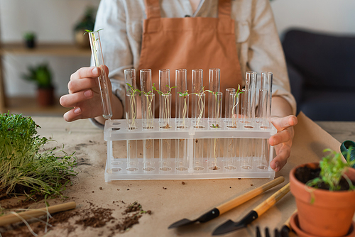 Cropped view of girl holding glass test tubes with plants at home
