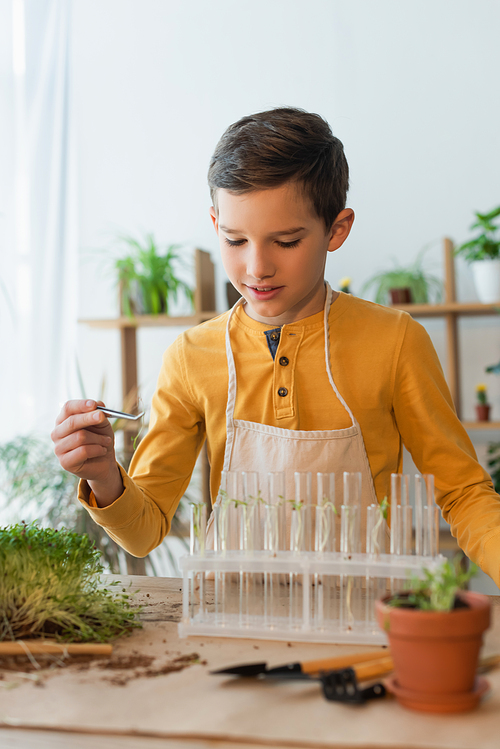 Preteen boy holding tweezers near test tubes and plants at home