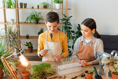 Smiling boy holding tweezers and plant near test tubes and friend at home