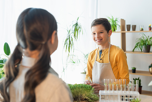 Smiling boy in apron holding test tube near microgreen and blurred friend at home