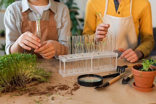 Cropped view of children in aprons holding test tubes with plants near magnifying glass at home