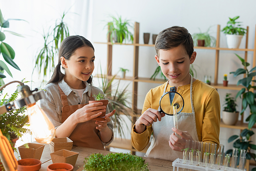Preteen friends holding plant and magnifying glass near test tubes at home