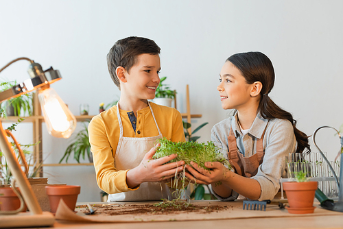 Smiling kids in aprons holding microgreen near glass test tubes and gardening tools at home