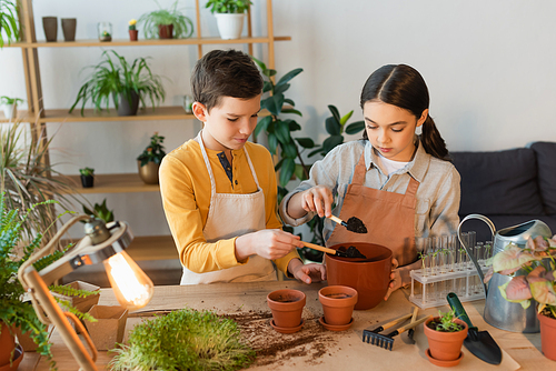 Kids in aprons pouring soil in flowerpot near plants on table at home