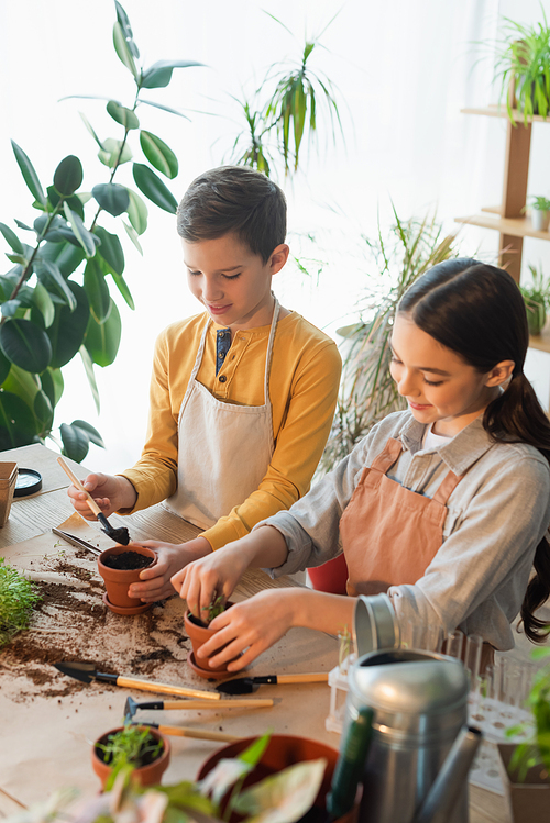 Smiling kids planting microgreen near blurred test tubes and watering can at home
