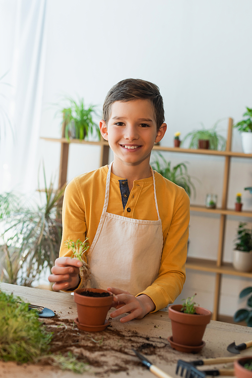 Smiling boy in apron planting microgreen near blurred flowerpots at home