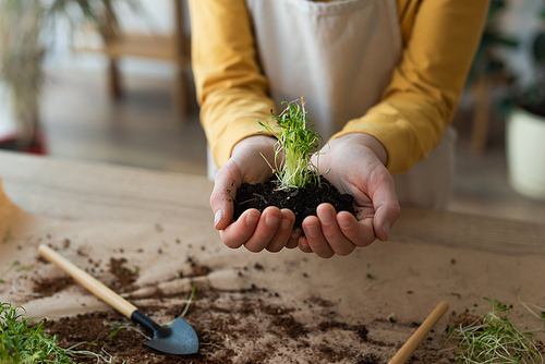 Cropped view of boy holding microgreen in soil near table at home