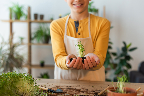 Cropped view of smiling boy holding microgreen in soil near gardening tools on table