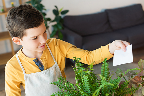 Boy in apron holding sticky note near plant at home