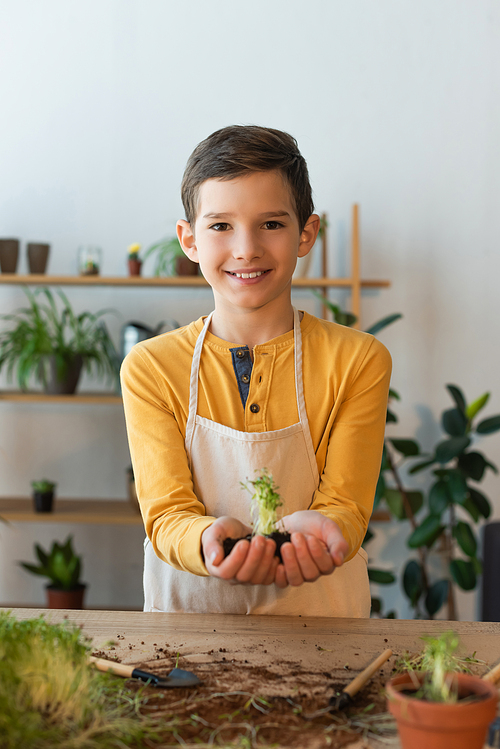 happy boy in apron holding soil with microgreen plants while looking at camera