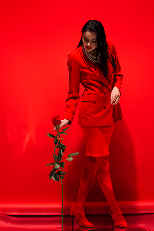 Young woman in jacket and skirt holding rose on red background