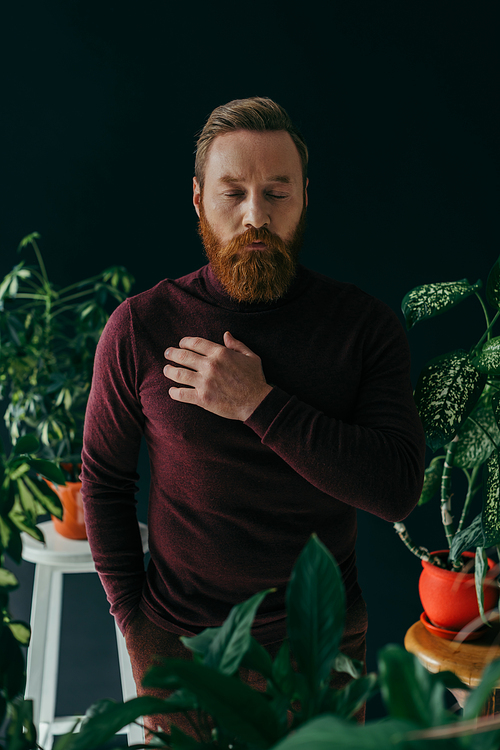 Bearded man in jumper touching chest near plants on black background