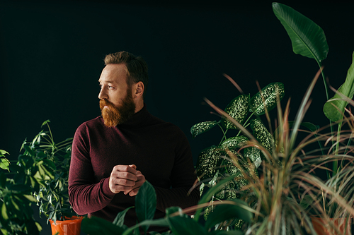 Bearded man in burgundy jumper looking away near plants isolated on black