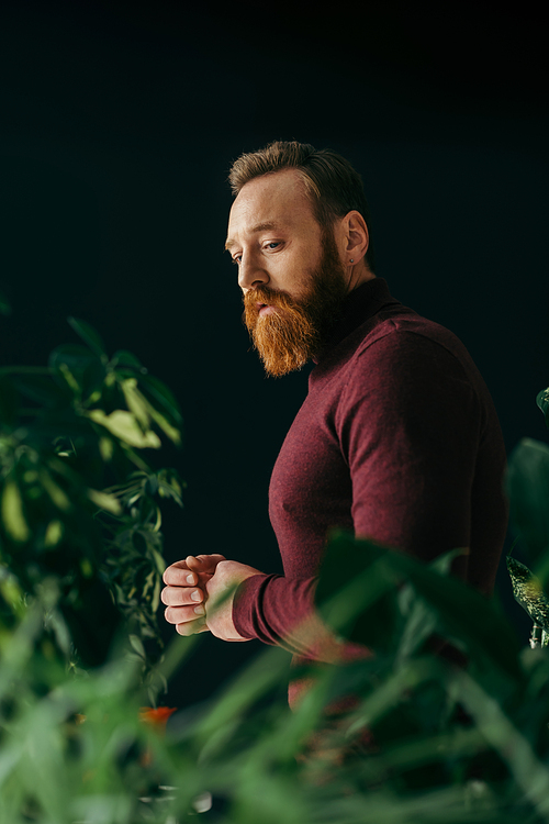 Stylish bearded man standing near blurred plants isolated on black