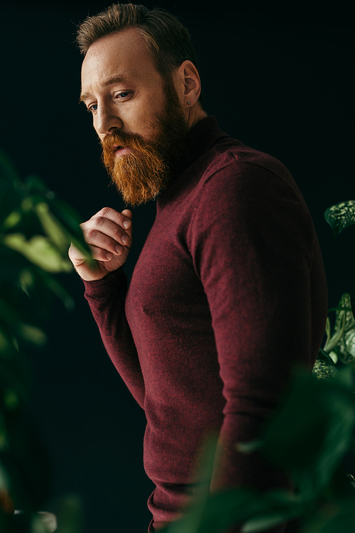 Trendy bearded model in burgundy jumper looking at blurred plant isolated on black