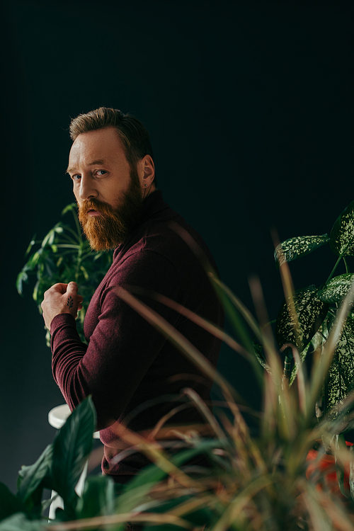 Stylish model in jumper looking at camera near blurred plants isolated on black