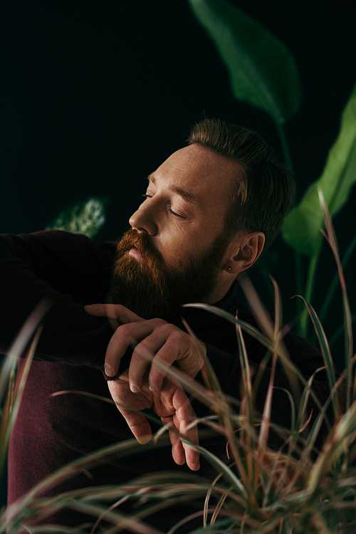 Fashionable man in jumper looking away near blurred plants isolated on black